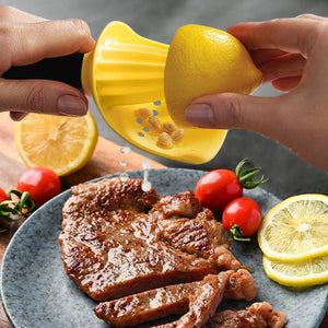 Manual Juicer | عصارة يدوية